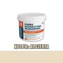 KLEIB Q3 FARBA ELEW SILIK 4L - ALGIERIA