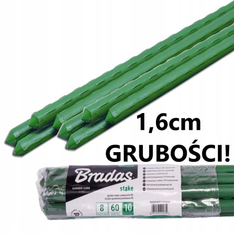 Podpora tyczka palik GRUBSZE 1,6CM do pomidorów roślin 180cm 10s BRADAS