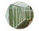 Podpora tyczka palik GRUBSZE 1,6CM do pomidorów roślin 180cm 10s BRADAS
